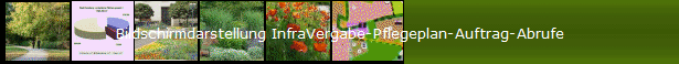 Bildschirmdarstellung InfraVergabe-Pflegeplan-Auftrag-Abrufe