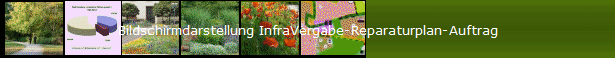 Bildschirmdarstellung InfraVergabe-Reparaturplan-Auftrag